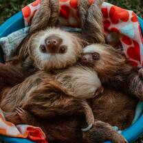 Costa Rica Summer Program