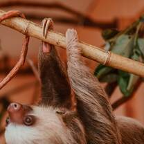 Costa Rica Summer Program