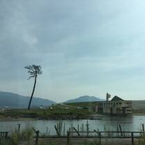 Miracle pine (ipponmatsu) left standing after 2011 tsunami