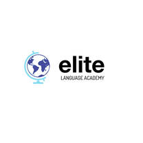 Facilitating Professional Success & Language- Cross Cultural Training in a Virtual Space
