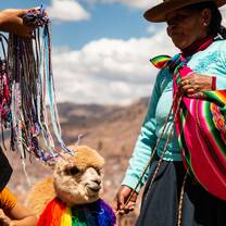 Inca woman with llama