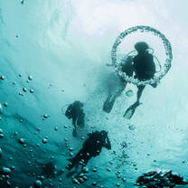 SCUBA in Roatan