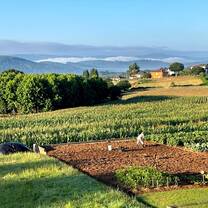 Typical scenery along the Camino de Santiago