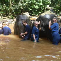 Thailand Mini Semester | Pacific Discovery