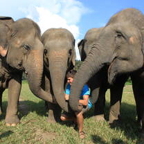 Thailand Mini Semester | Pacific Discovery