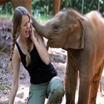 Thai Culture Immersion Tour