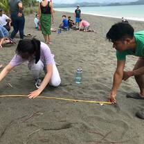 Volunteering on the beach in Panama