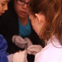 Projects Abroad medical volunteers in Peru