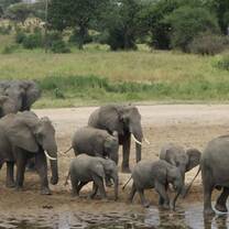 Projects Abroad in Tanzania
