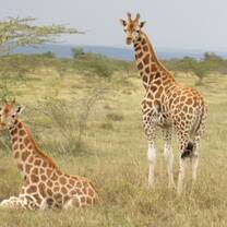 Volunteer with Projects Abroad