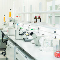 Study Abroad: Sechenov First Moscow Medical University (Russia)