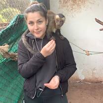 Volunteering at the Wildlife Rescue