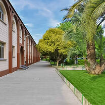 Our school