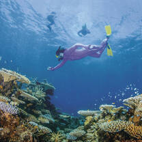 TEAN: Study Abroad in Townsville, Australia