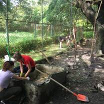 Volunteers and students improving animal enclosures