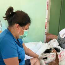 Veterinarian volunteer cares for sick red-shanked douc