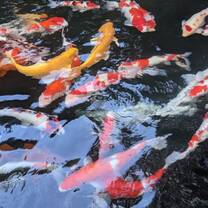 Taiwan Summer: Mandarin Language Intensive