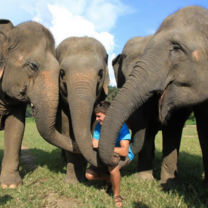 Thailand High School Summer Program | Pacific Discovery