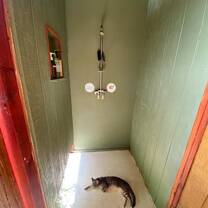 A cat snoozing in a shower