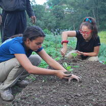 Students Working in the Demonstration Farm