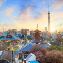 Study Japan
