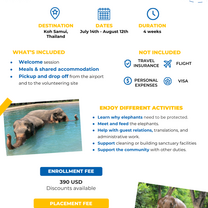 Program flyer