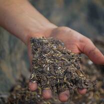 Fertilizer