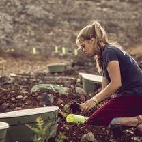 We have advanced watering systems to make sure the trees thrive