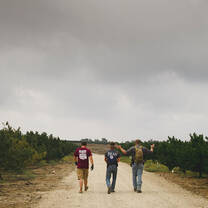 Join our our team as we plant orchards and forests across Israel