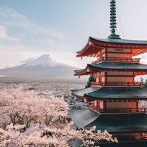 Japan castle