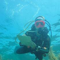 Diver surveying coral health