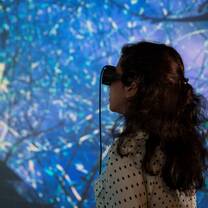 Visualization Lab