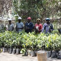 The team at the tree nursery bed