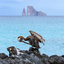 Kicker Rock, Galapagos