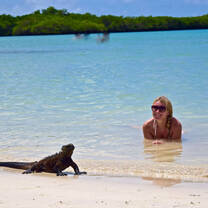Galapagos wildlife on the beach
