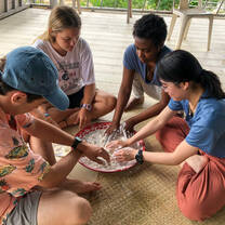 Thailand Summer: Sustainability and Spirituality in the Land of Smiles