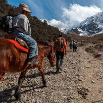 Trekking the Salkantay Trail, Peru