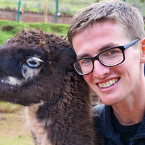 Visiting a llama and alpaca farm, Peru