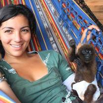 caring baby animals