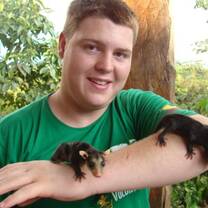 baby animals