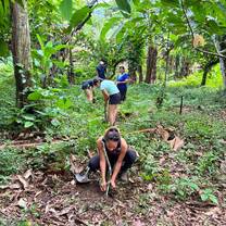 A girl sits, planting a tree into the ground. 