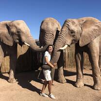 exchange student enjoying time with wild elephants in Africa