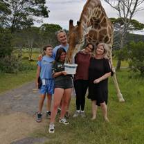 exchange student and host family enjoying time with a wild giraffe in Africa
