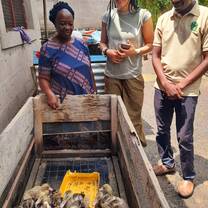 animal care