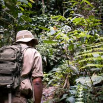 Our Rangers on patrol