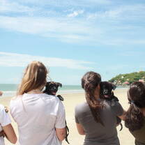 Volunteer with PAWS while in Thailand