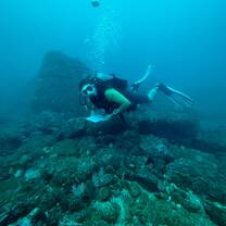 A diver poses to the camera underwater 