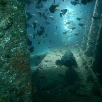 Steam ship wreck