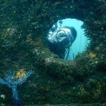 diver looking through a window of a ship wreck