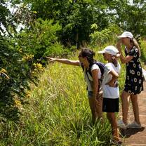 students on a Bee and Ecosystem Biotour